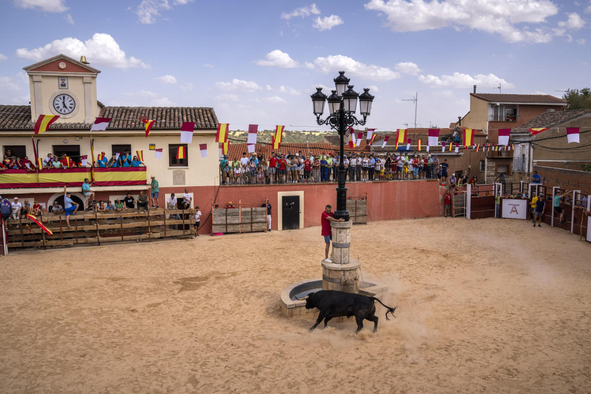 Wave of bull runner deaths turns focus on Spain’s fiestas