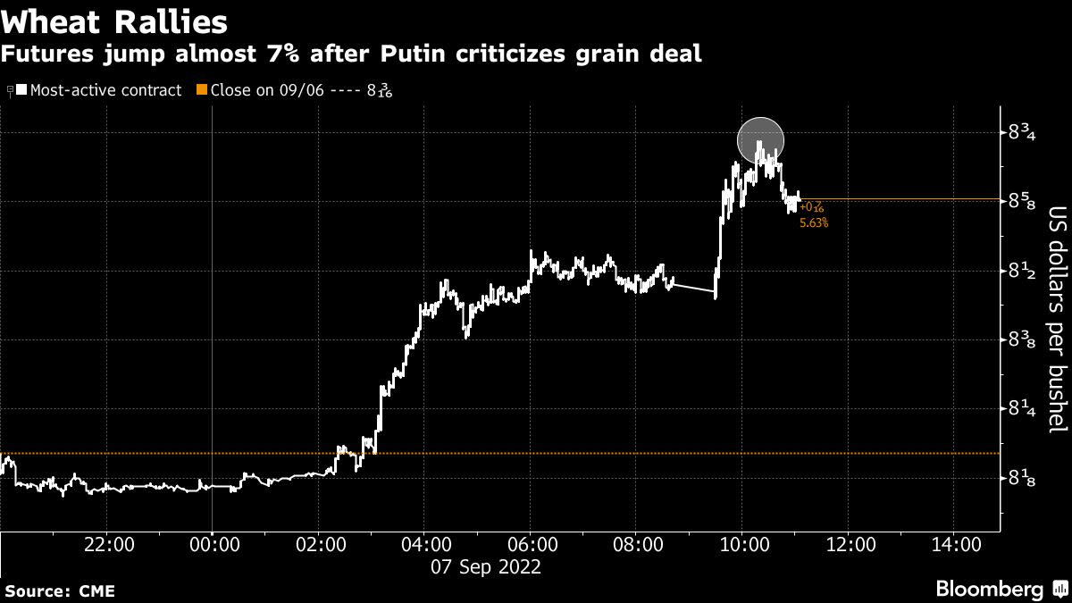 Wheat Prices Surge as Putin Assails Ukraine Grain Deal