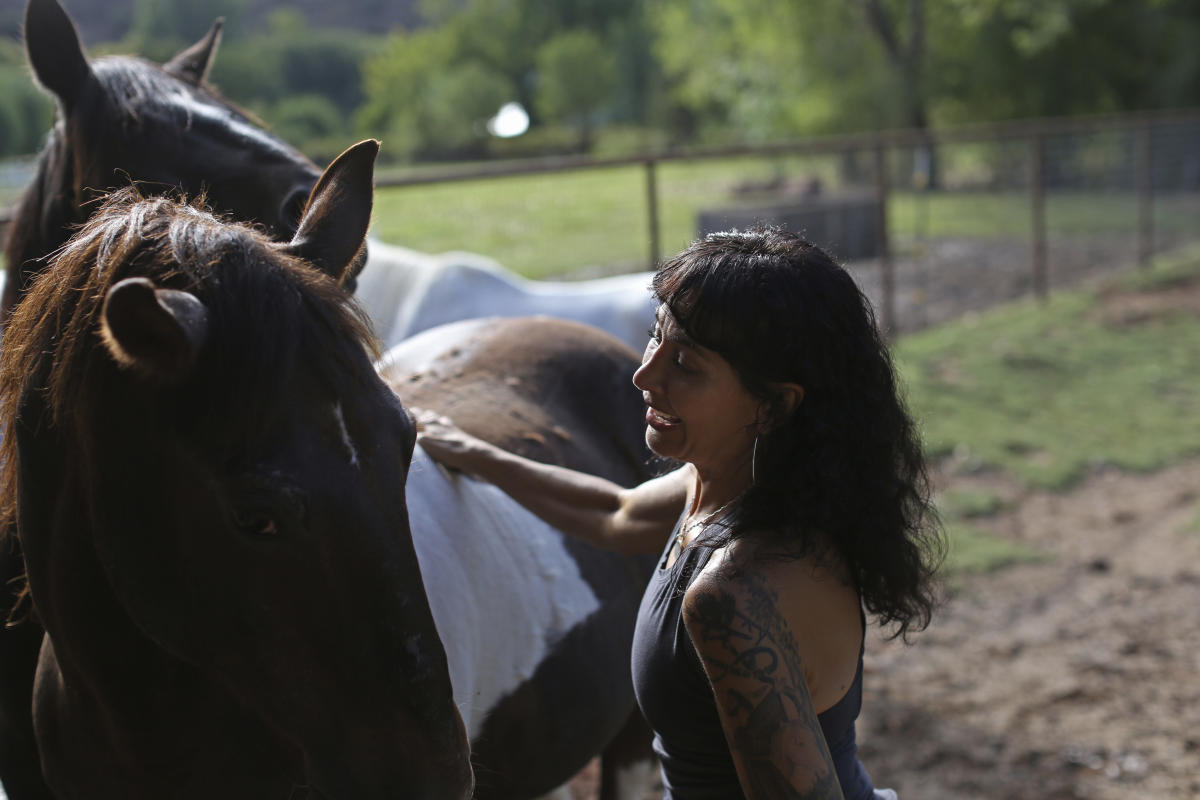 Arizona farm gives refuge from pain, for man and beast alike