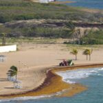 Caribbean nations taking steps to clean up cancer-causing chemicals: UN