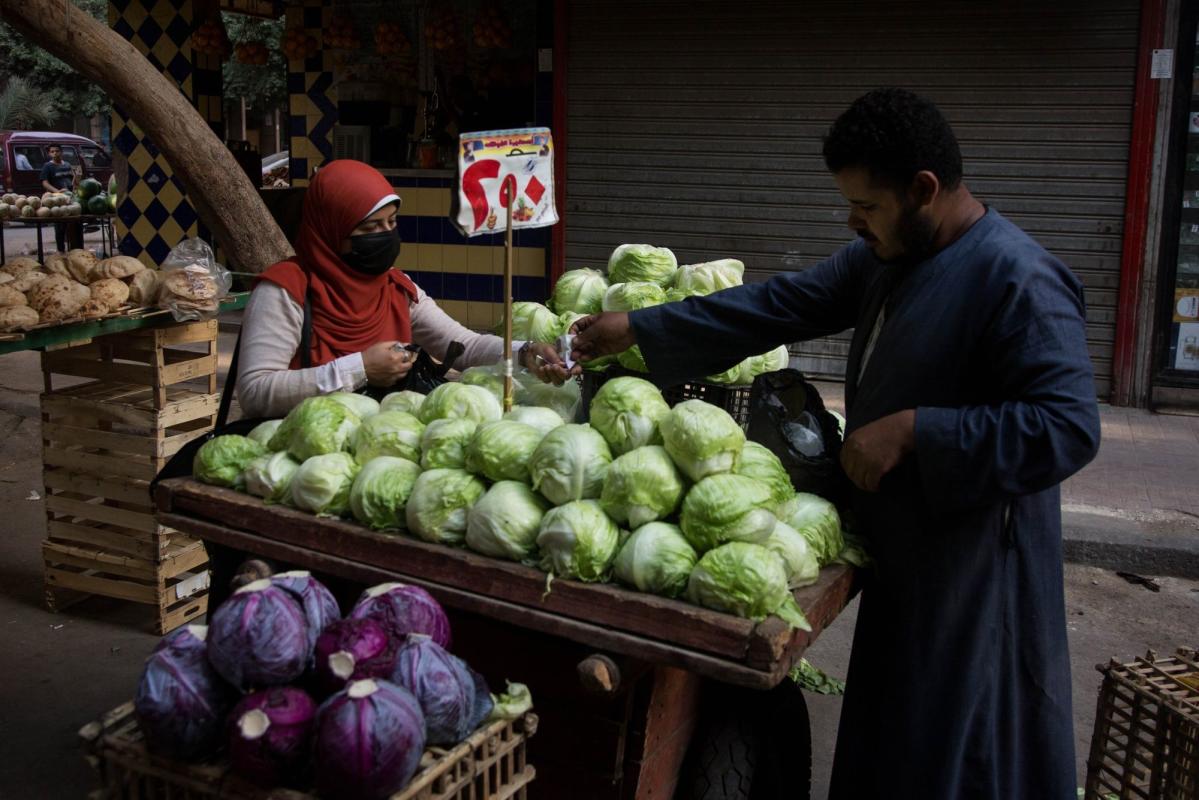 Egypt Get  Billion IFAD Climate Funds to Boost Food Security