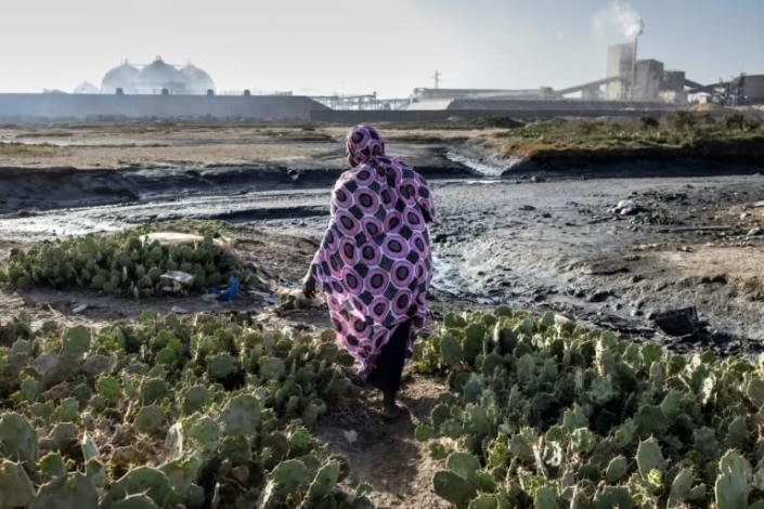 Force firms to reveal their impact on nature: major businesses