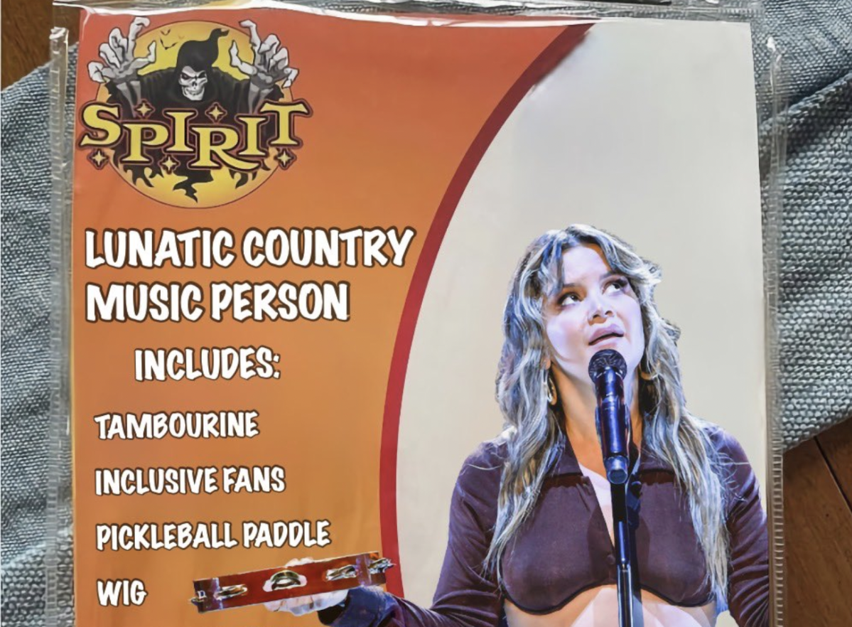 Maren Morris shares ‘Lunatic Country Music Person’ Halloween costume amid Brittany Aldean feud