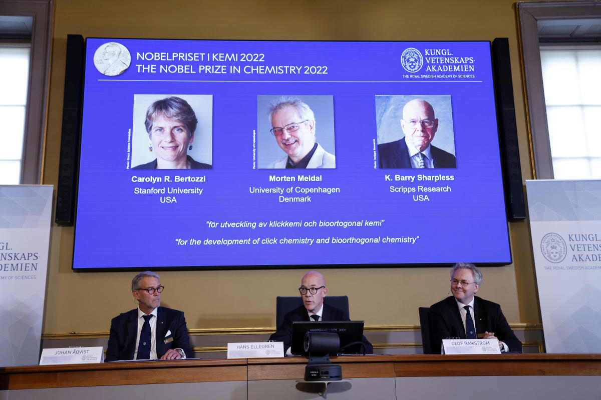 Nobel prize for 3 chemists who made molecules ‘click’