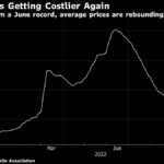 OPEC+ Cuts Put Focus on Prices in Pre-Midterm Blow for Democrats