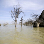 Poor nations to demand climate justice, finance at UN summit