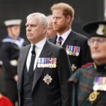 Prince Harry and Prince Andrew’s Royal Roles Questioned in British Parliament