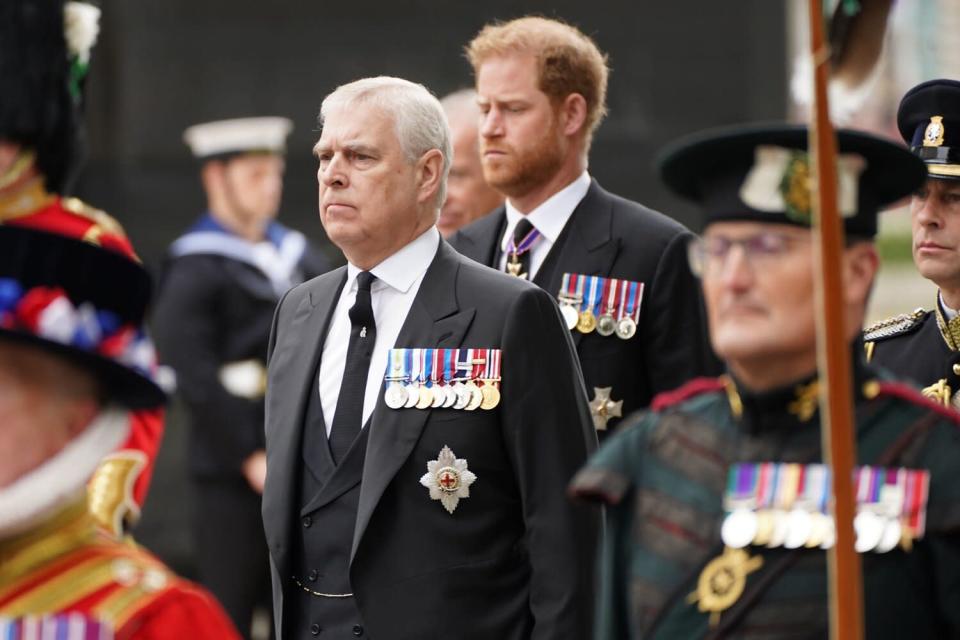 Prince Harry and Prince Andrew’s Royal Roles Questioned in British Parliament