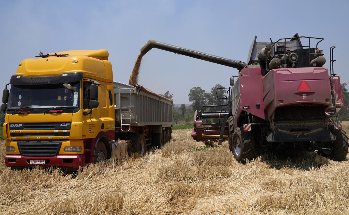 Zimbabwe’s focus on wheat set to yield biggest-ever harvest