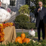 Biden opens holidays, pardons turkeys Chocolate and Chip