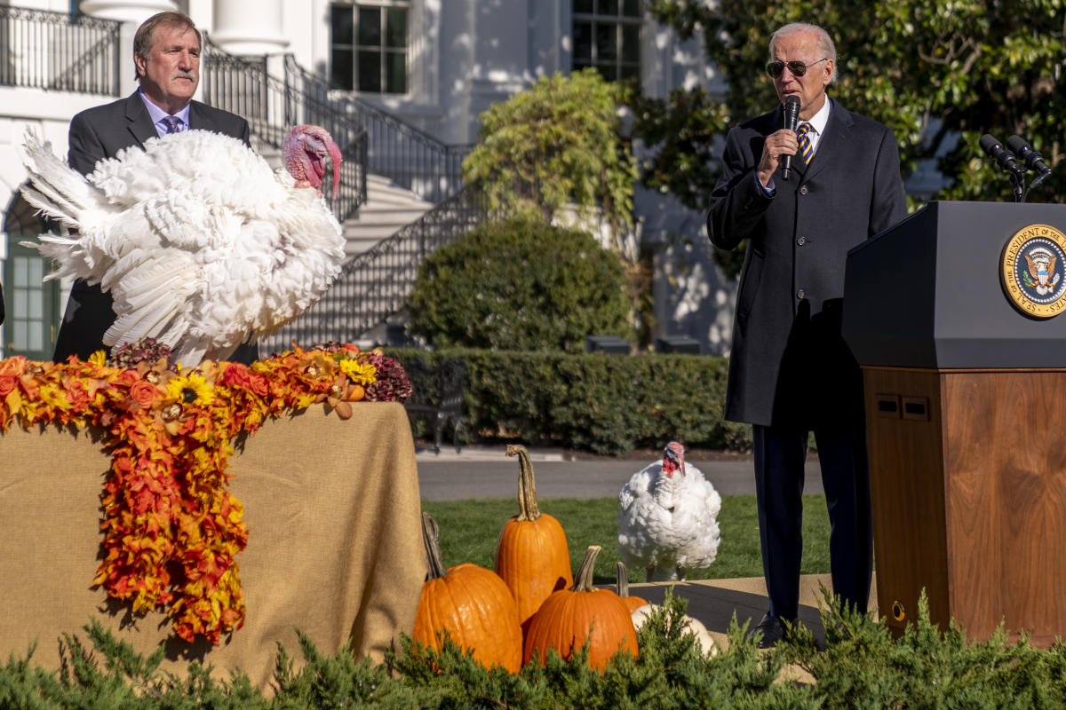 Biden opens holidays, pardons turkeys Chocolate and Chip