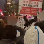 Chinese nationals hold anti-Xi protest in NYC on Halloween