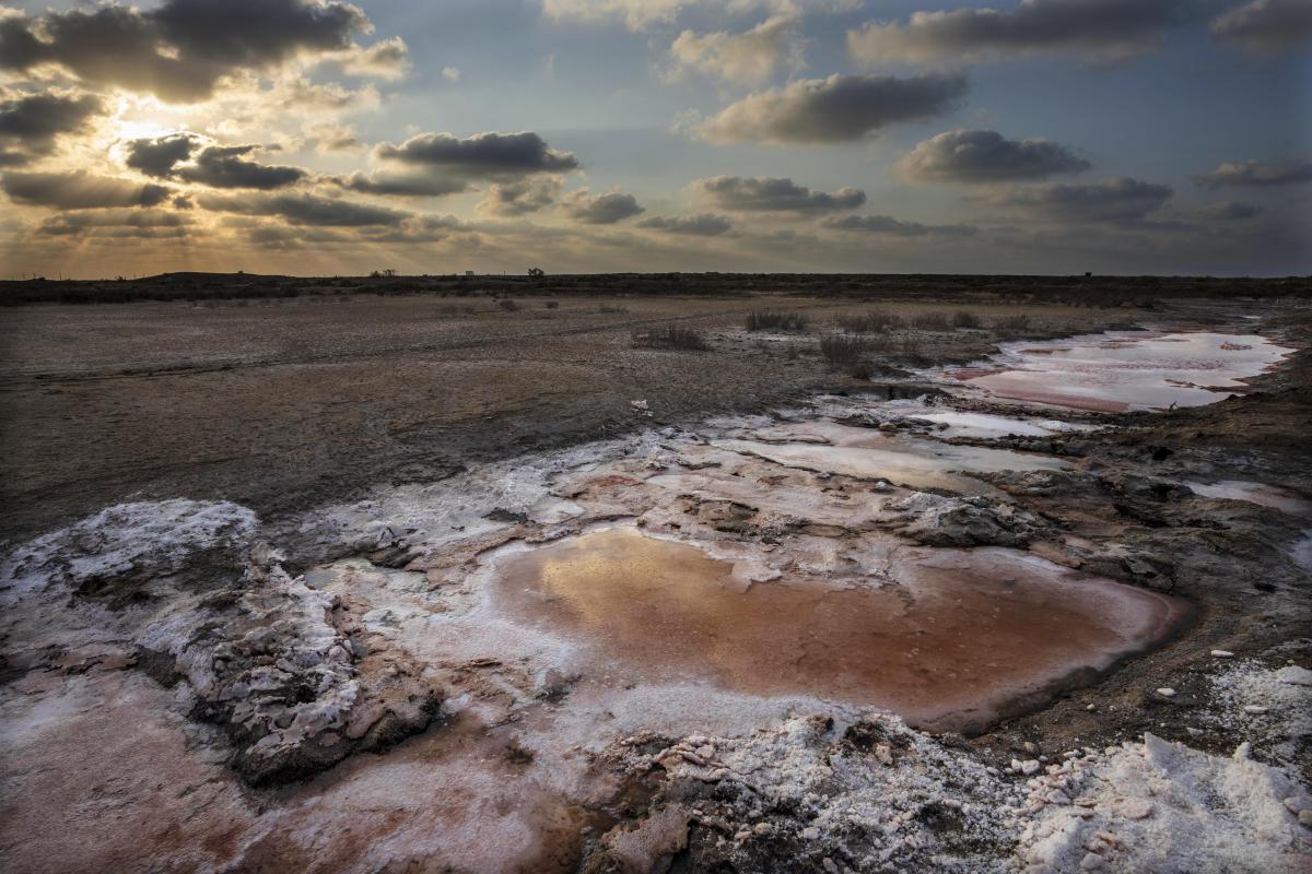 Climate change and rising seas threaten Egypt’s breadbasket