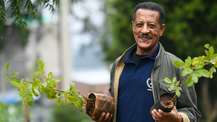 COP27: Ethiopia’s 20-billion tree goal – a sapling success?