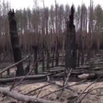 Destroyed dams, hundreds of kilometres of burnt forest: Ukrainian military video shows Kharkiv Oblast after liberation from Russian occupiers