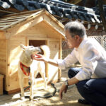 Dogs gifted by Kim Jong Un at center of South Korean row