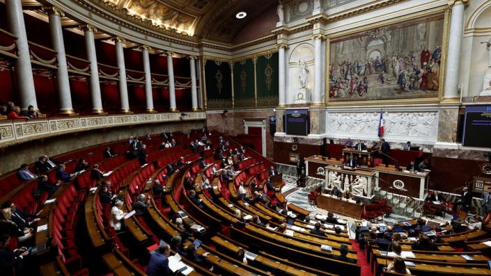 French parliament halted as MP shouts ‘go back to Africa’