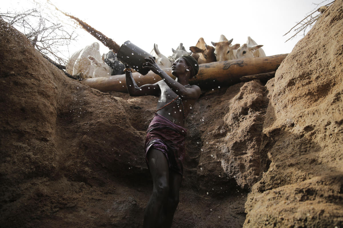 In brutal drought, Kenyan herders look for hope underground