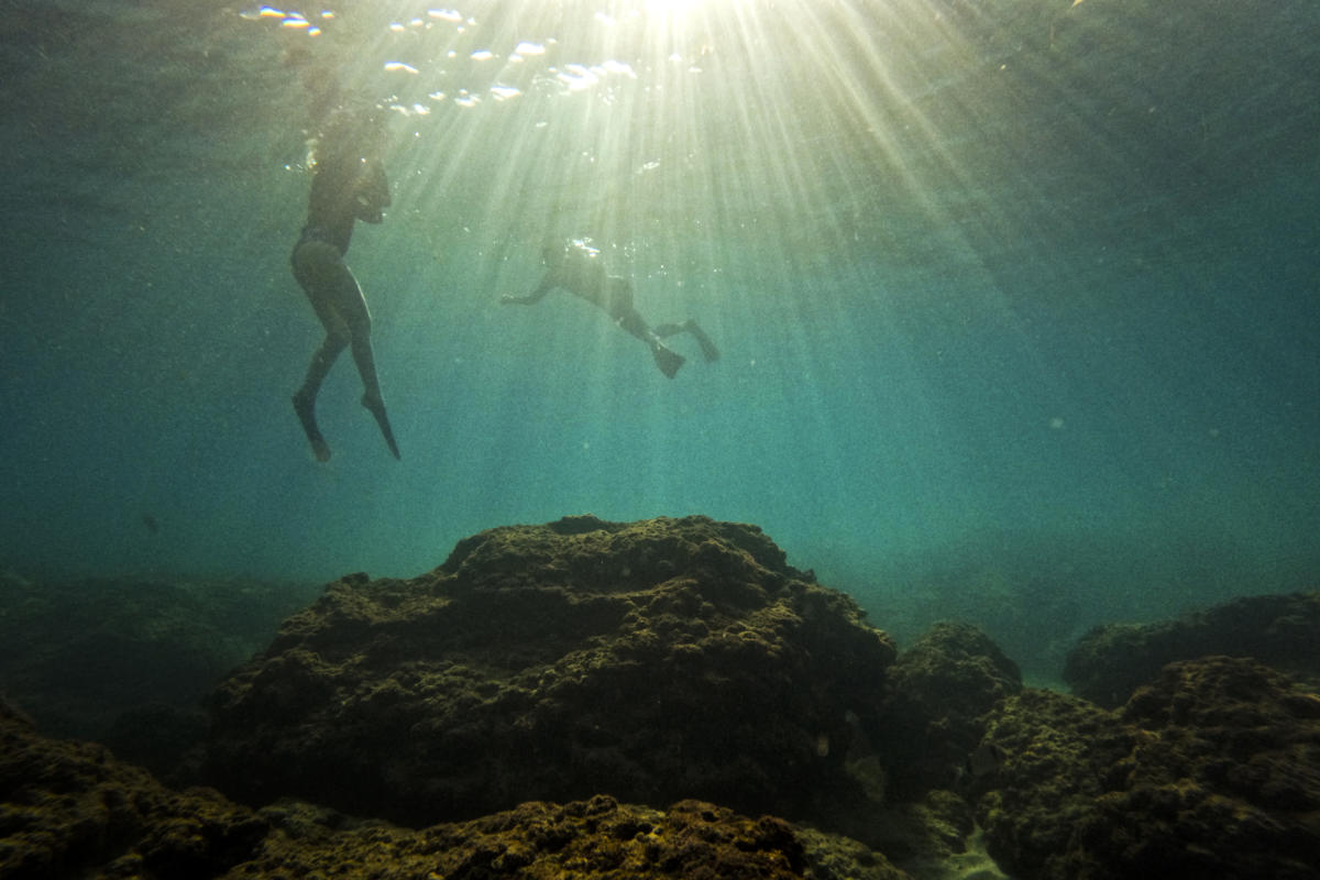 Israel rushes to protect marine life as Mediterranean warms