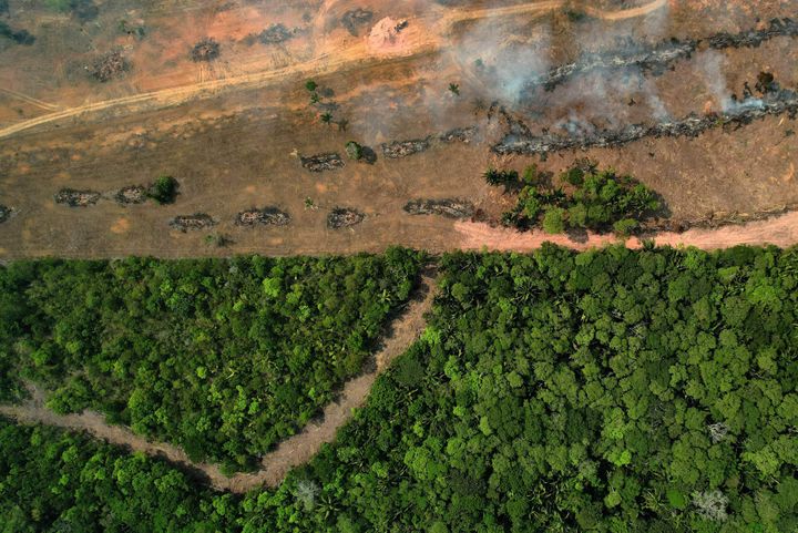 ‘It’s F**king Over!’ Lula da Silva’s Victory In Brazil Injects Hope Into Global Climate Fight