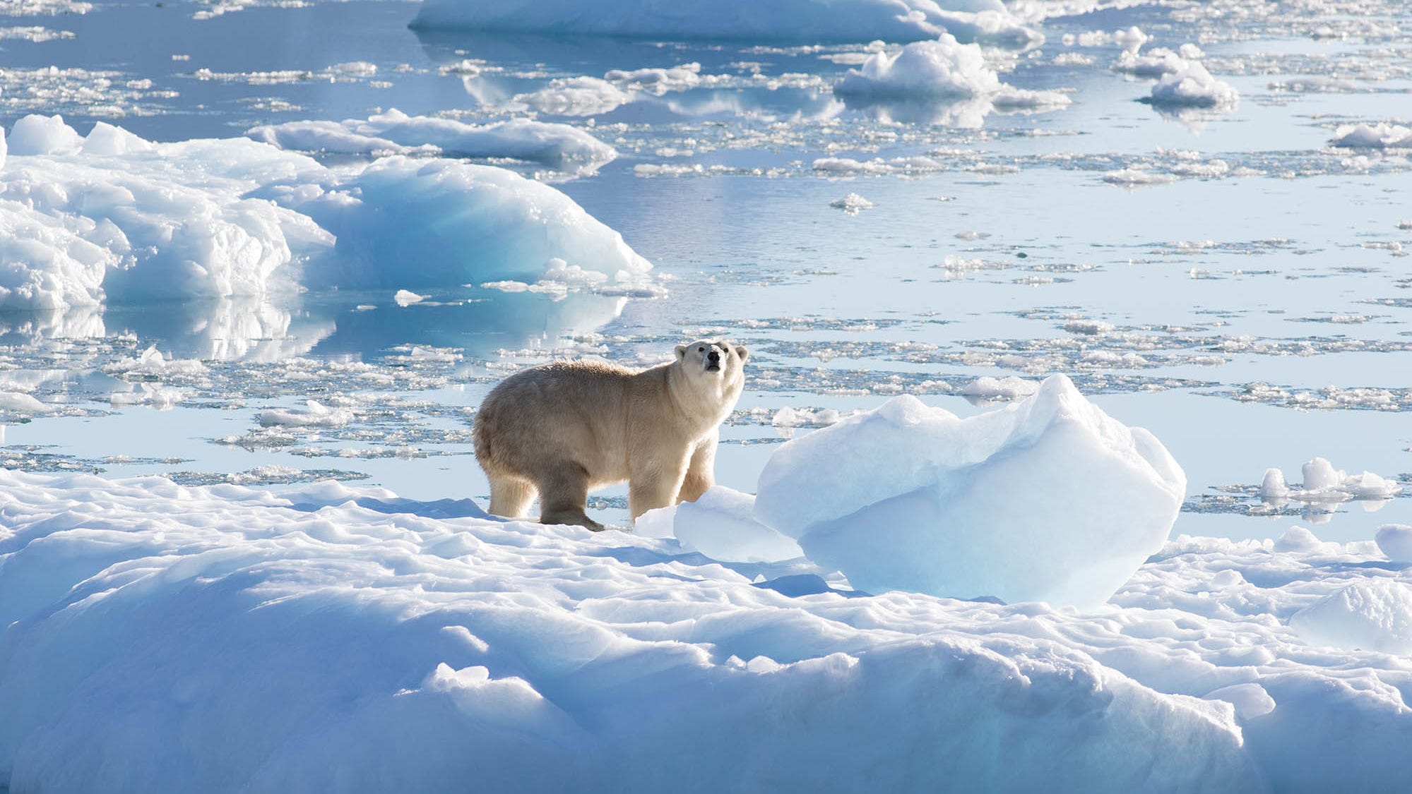 Massive climate change summit COP27 starts Sunday. Here’s what to know.