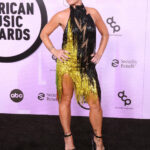 Pink’s 2022 AMAs dress is straight ‘from Cher’s closet’: ‘I asked her if I could borrow some Bob Mackie’