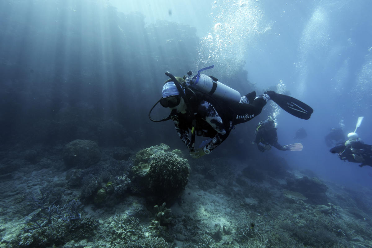 Scientists try to bolster Great Barrier Reef in warmer world