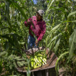 Tribe seeks to adapt as climate change alters ancestral home