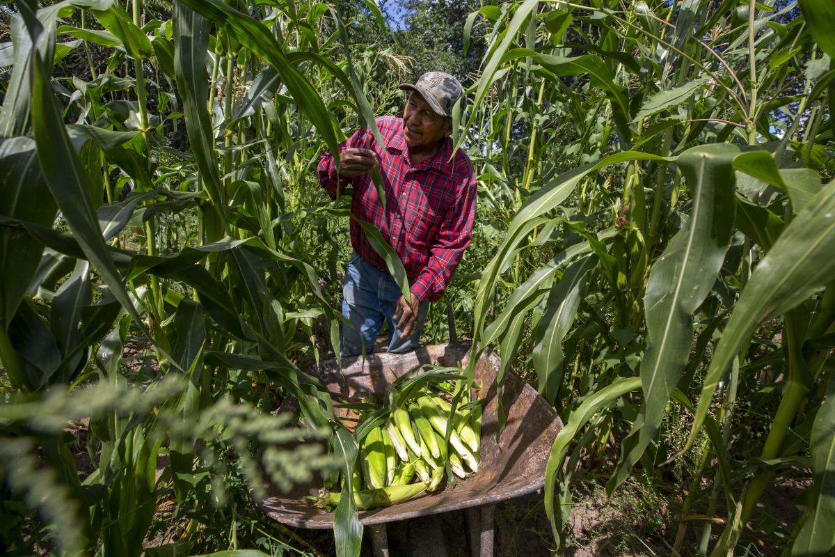 Tribe seeks to adapt as climate change alters ancestral home