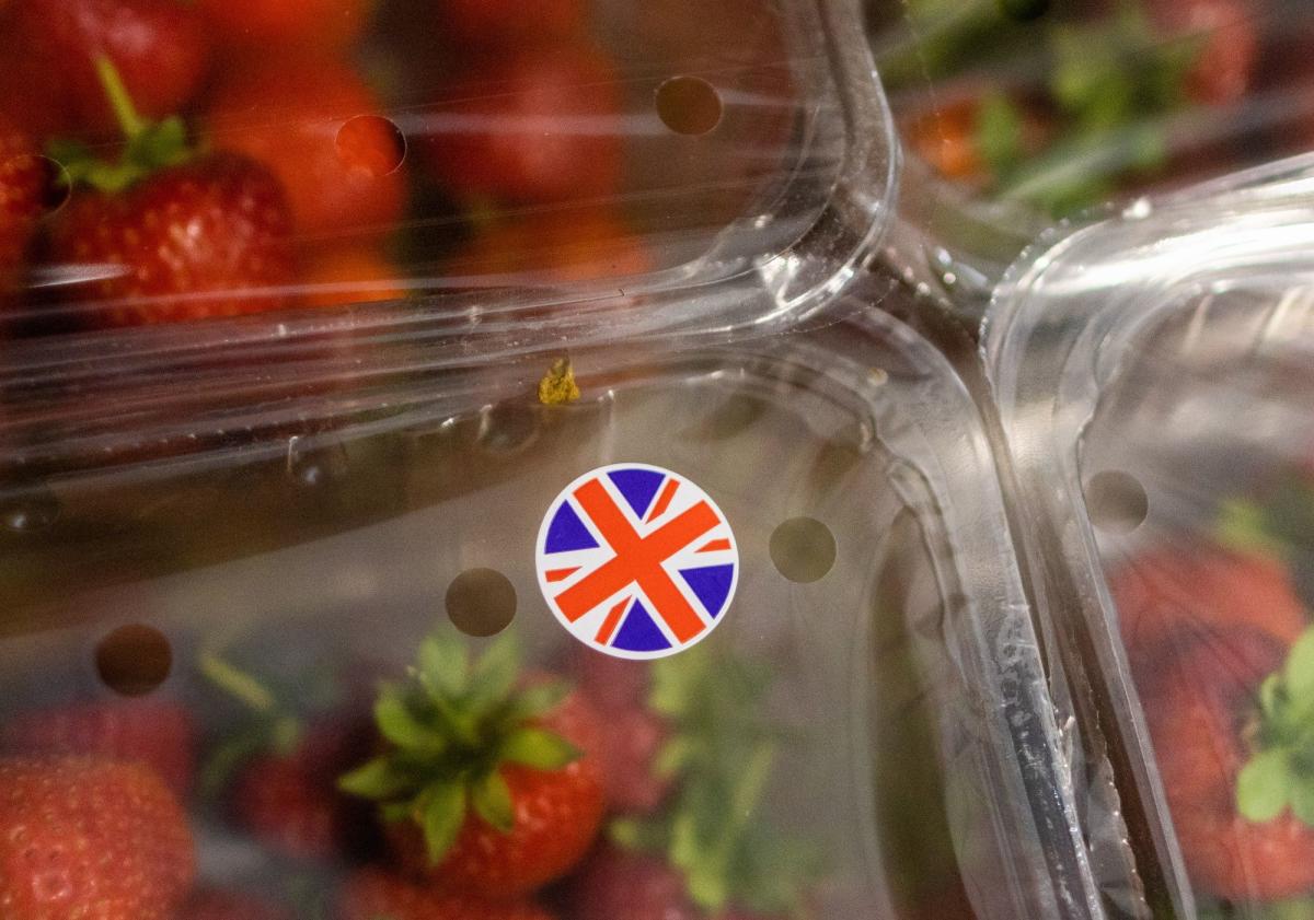 UK Delays Post-Brexit Product Markings to Stave Off Extra Costs