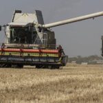 Wheat and corn futures drop after Russia decides to return to a deal that allows grain exports from Ukraine