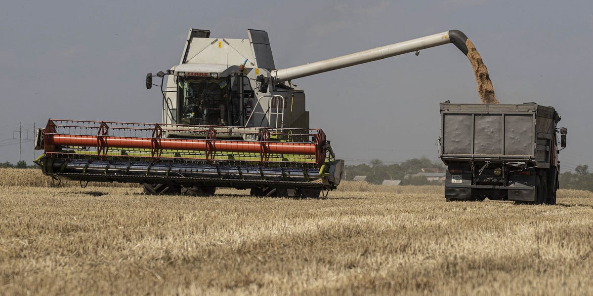 Wheat and corn futures drop after Russia decides to return to a deal that allows grain exports from Ukraine