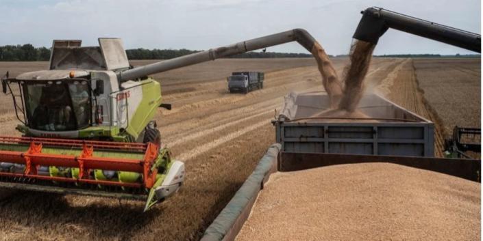 Belarus agrees to transit of Ukrainian grain — UN