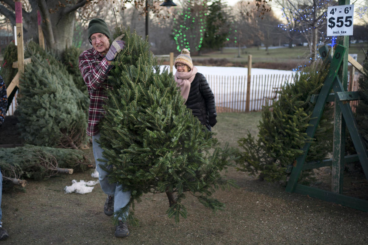 Christmas tree demand remains high despite inflation