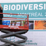 Governments gather in Canada in bid to boost biodiversity