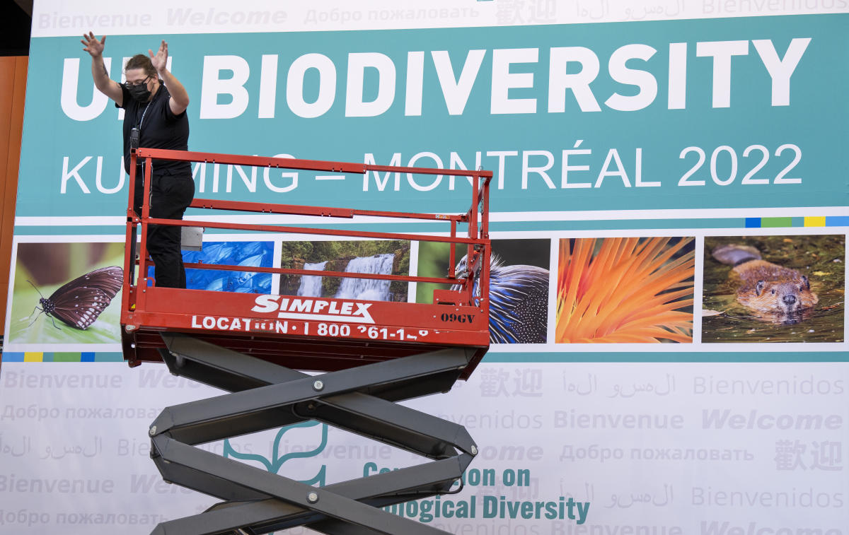 Governments gather in Canada in bid to boost biodiversity