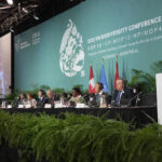 Governments move closer to deal at biodiversity conference