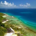 How Seychelles ocean plants could help tackle climate change