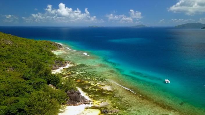 How Seychelles ocean plants could help tackle climate change