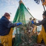 New quota deal means British fishermen can catch 30,000 tonnes more than before Brexit