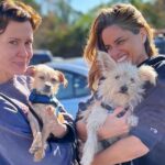 Sarah Paulson and Amanda Peet Adopt 2 Puppies Together: ‘New Addition to the Family’