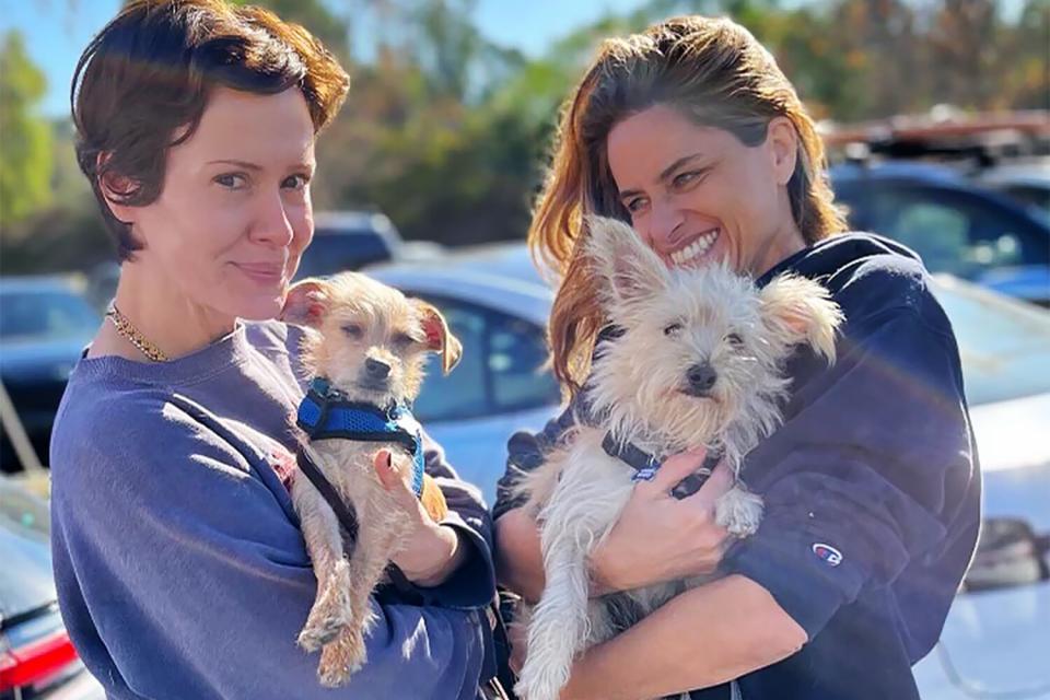 Sarah Paulson and Amanda Peet Adopt 2 Puppies Together: ‘New Addition to the Family’