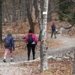 Tradition of hiking in the new year reaches all 50 US states