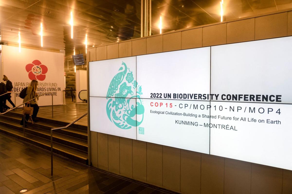 UN’s Biodiversity Summit Starts With Gridlock Over Details