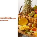 Organic Tropical Fruits, LLC Announces the Launch of Their New Website